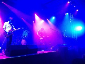 mklivereport